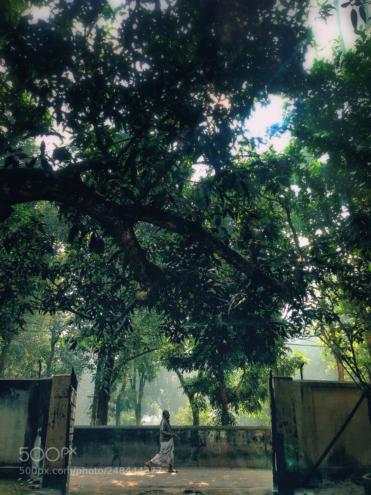 Apple iPhone 5 sample photo. 'he went' photography