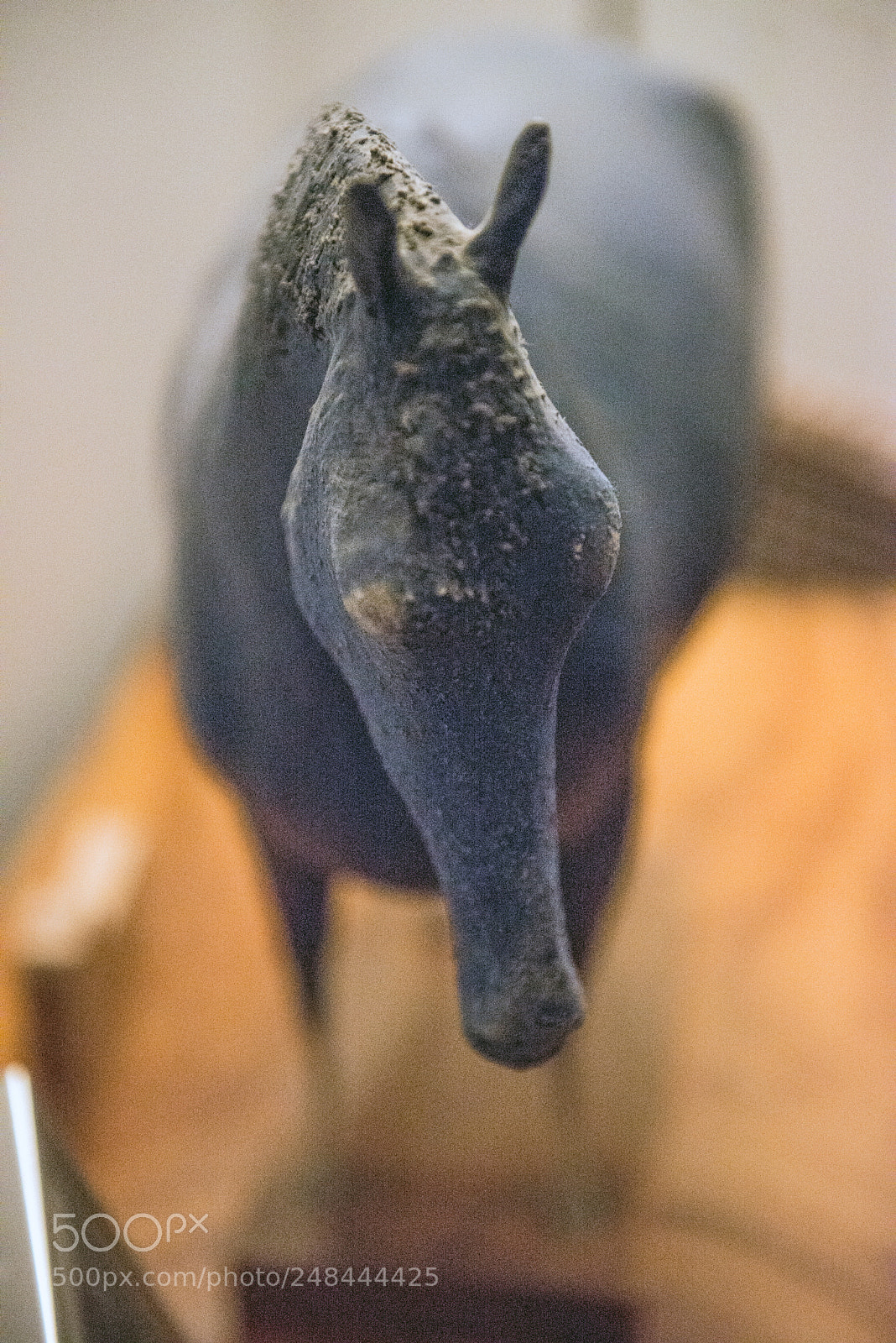 Nikon D610 sample photo. Ippo photography