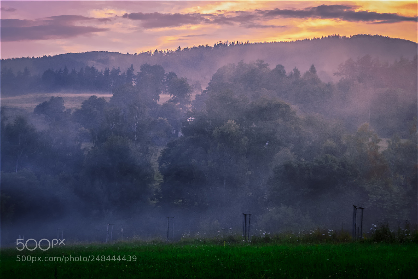 Fujifilm X-T1 sample photo. Evening mist iii photography