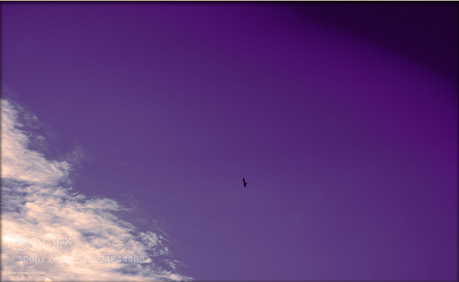 Sony a7 sample photo. To be as free photography