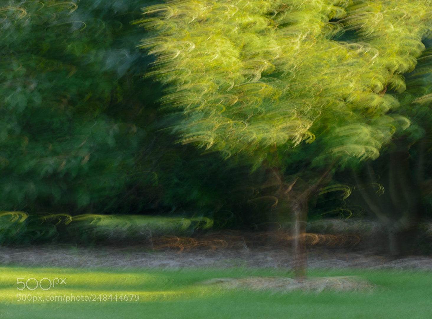 Nikon D7100 sample photo. Morning light photography