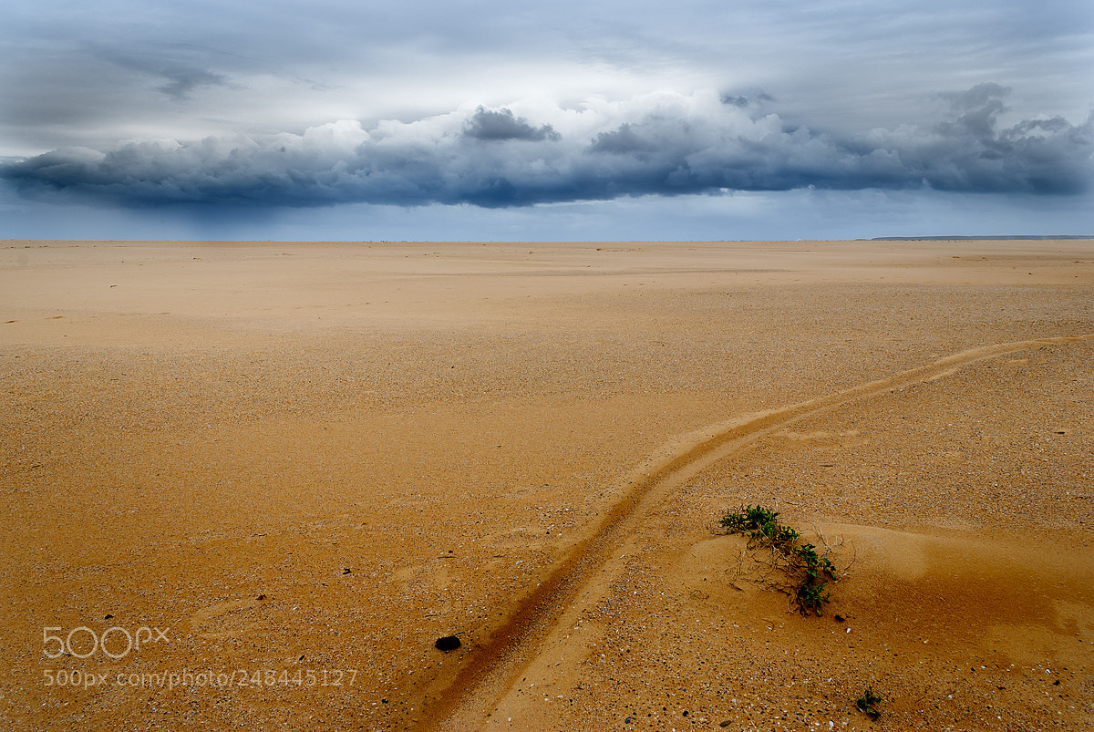 Nikon D60 sample photo. Sand and storm photography