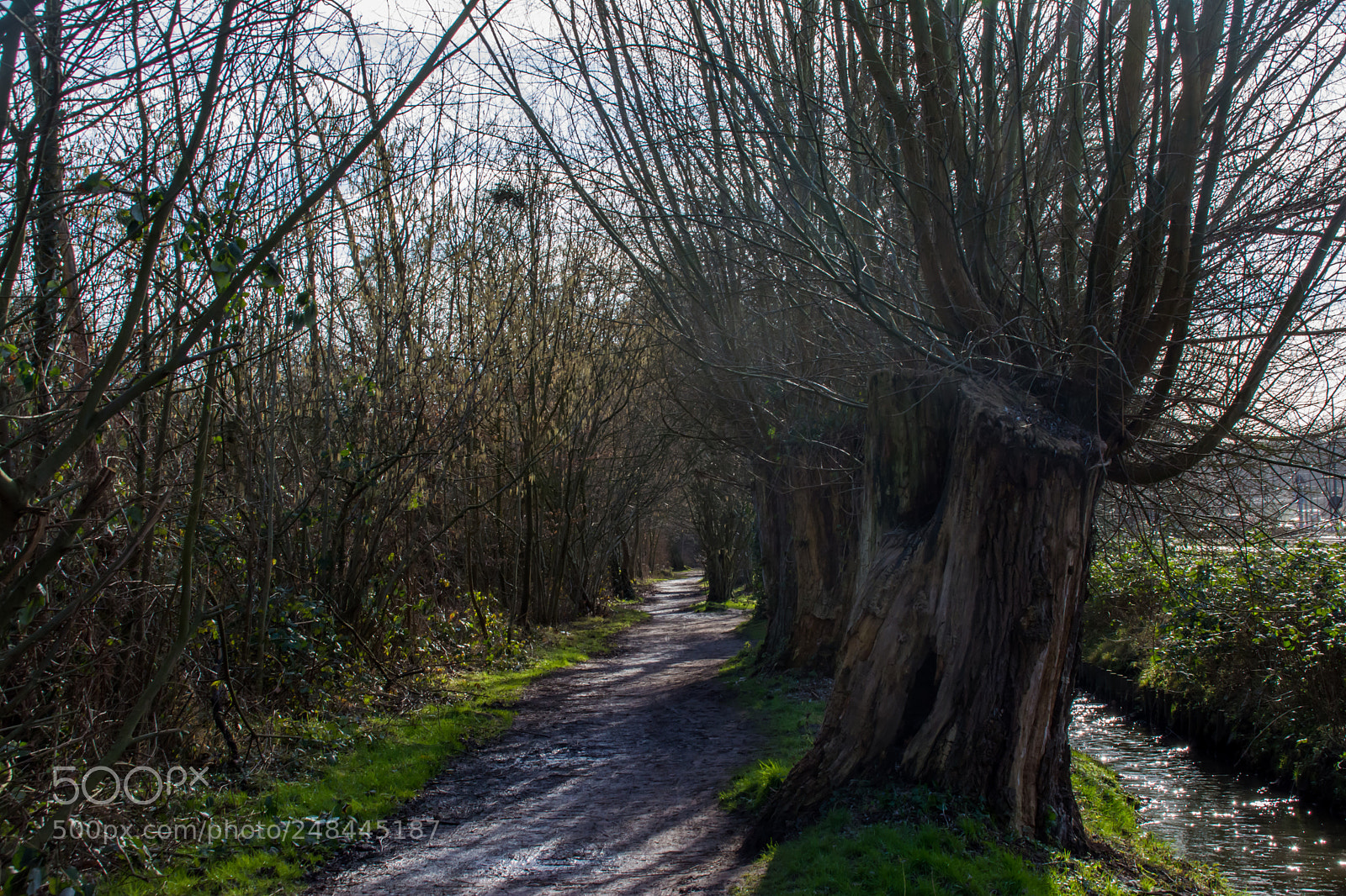 Nikon D5200 sample photo. Woluwe valley. photography