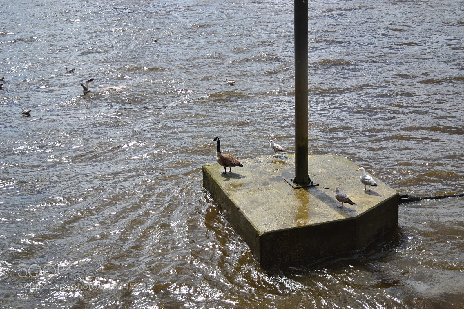 Nikon D3100 sample photo. The thames, london photography