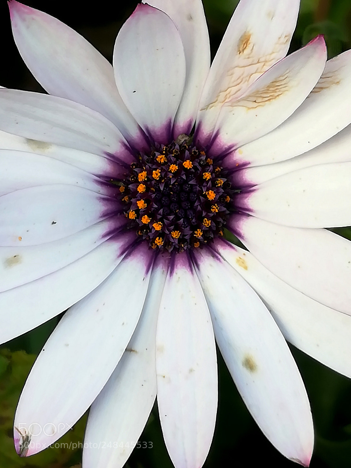 HUAWEI honor 6x sample photo. Colors photography