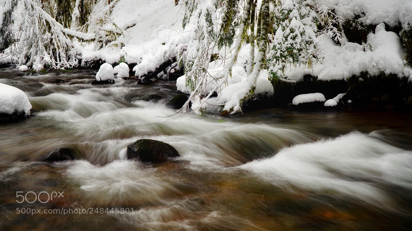 Sony a6000 sample photo. Creek scene photography