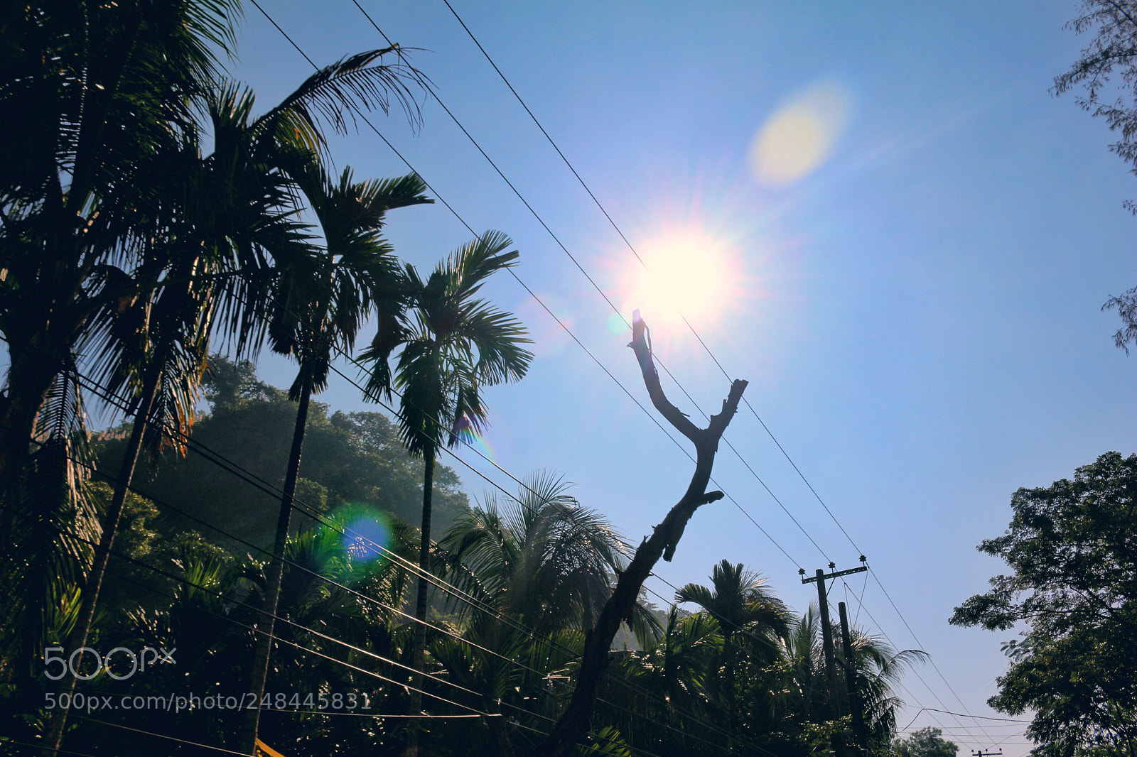 Canon EOS 700D (EOS Rebel T5i / EOS Kiss X7i) sample photo. 'country road : part 2' photography
