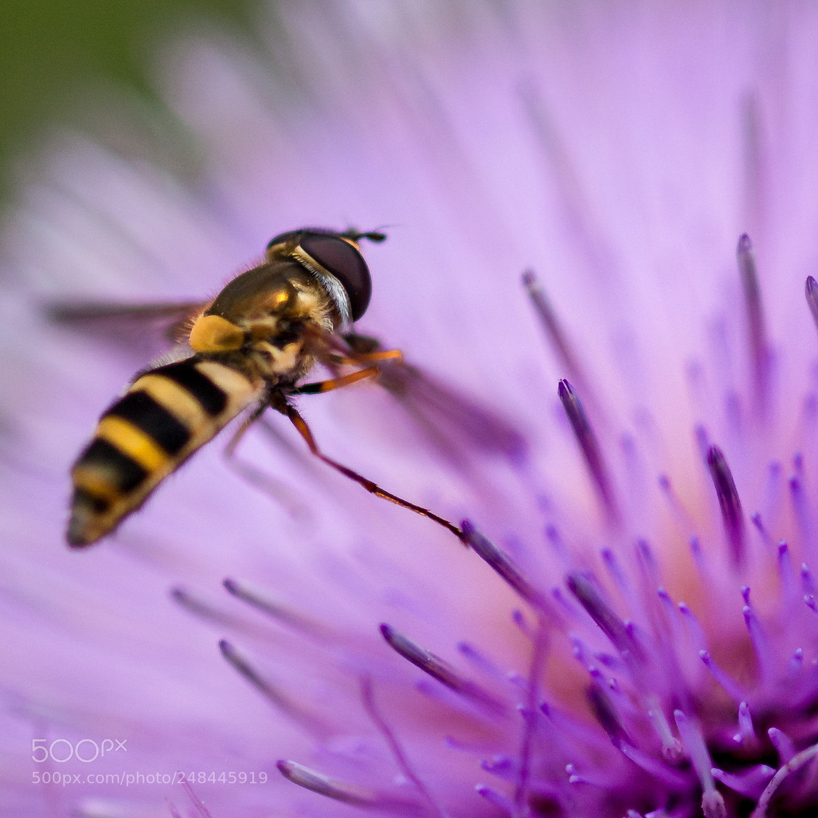 Nikon D70 sample photo. No easy landing photography