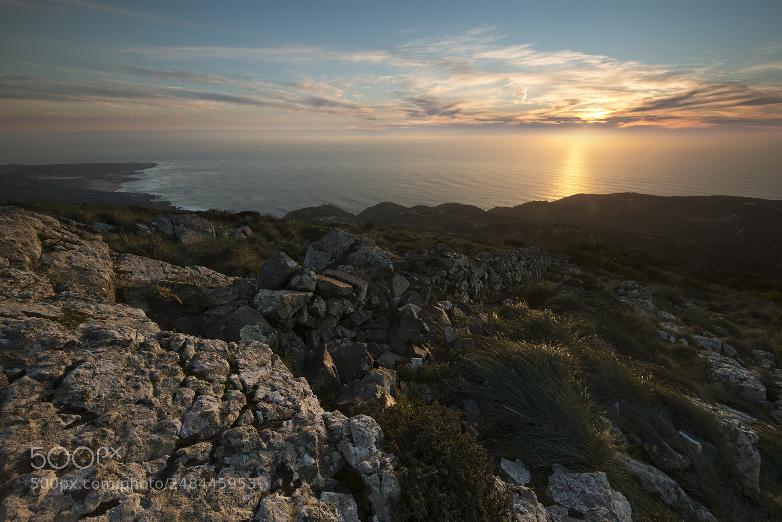 Nikon D800E sample photo. Enlightened from below photography