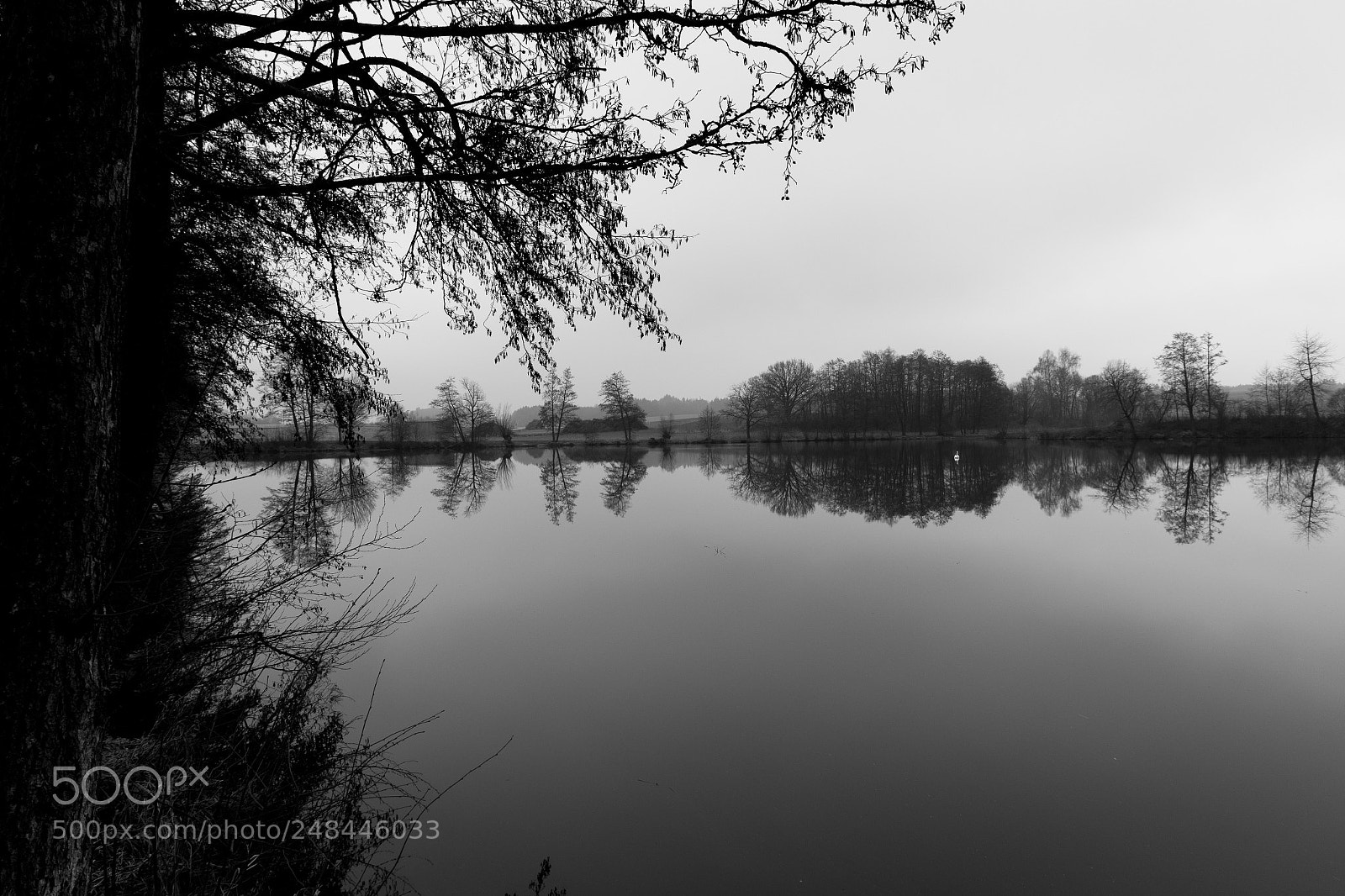 Canon EOS 7D Mark II sample photo. Ebertshausener see ii photography
