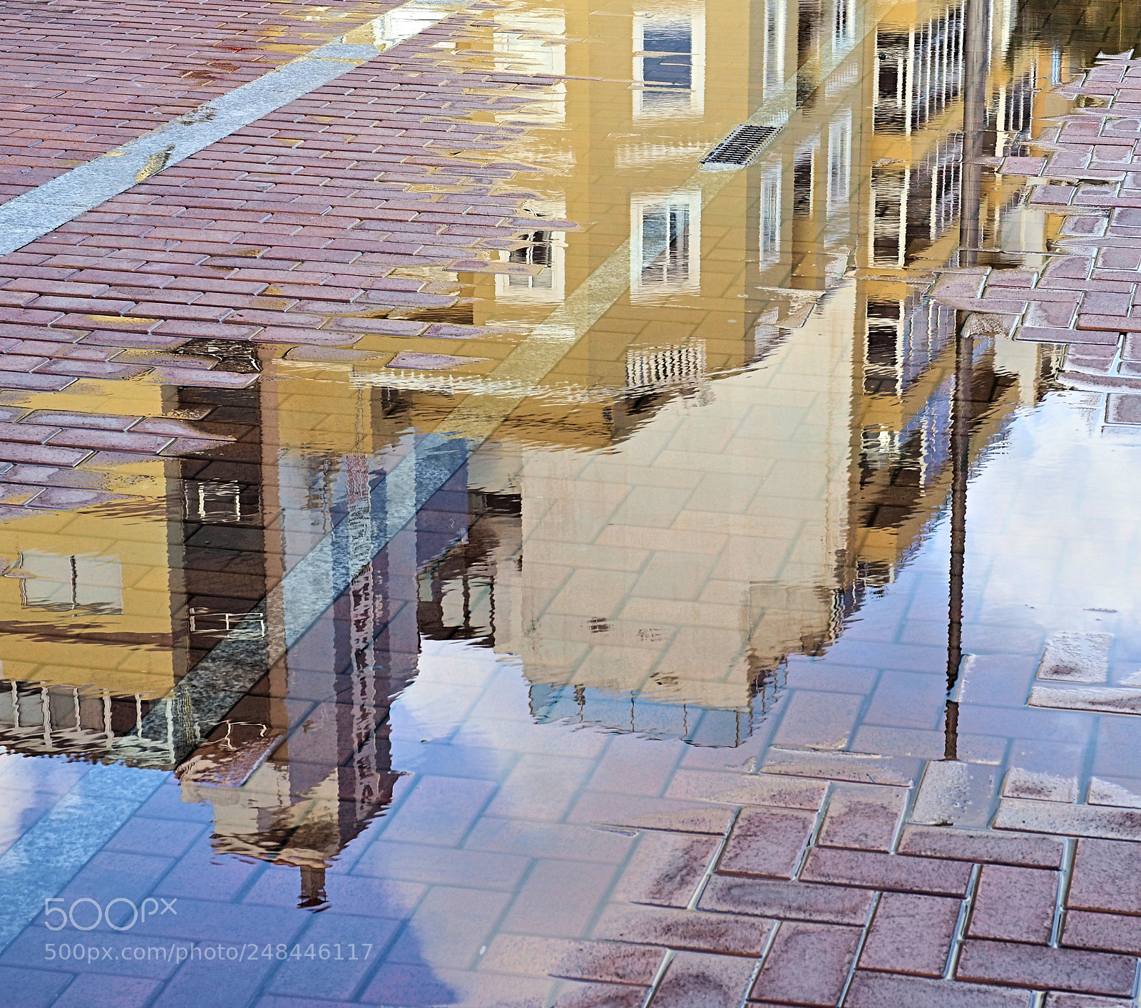 Olympus OM-D E-M5 II sample photo. Reflejo photography