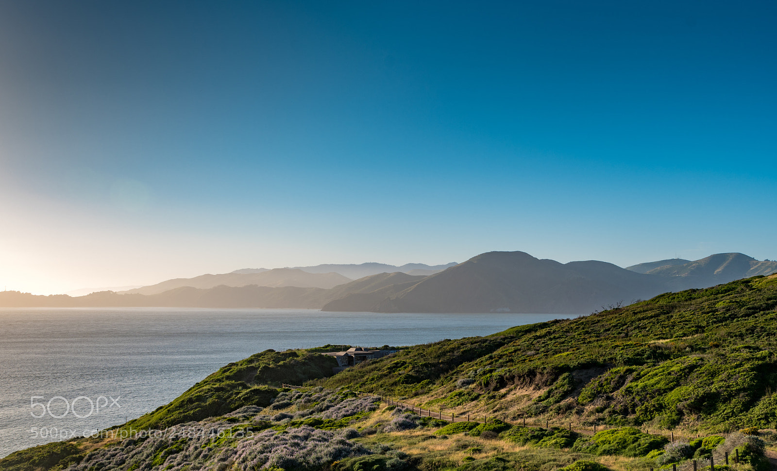 Nikon D500 sample photo. San francisco view bay photography
