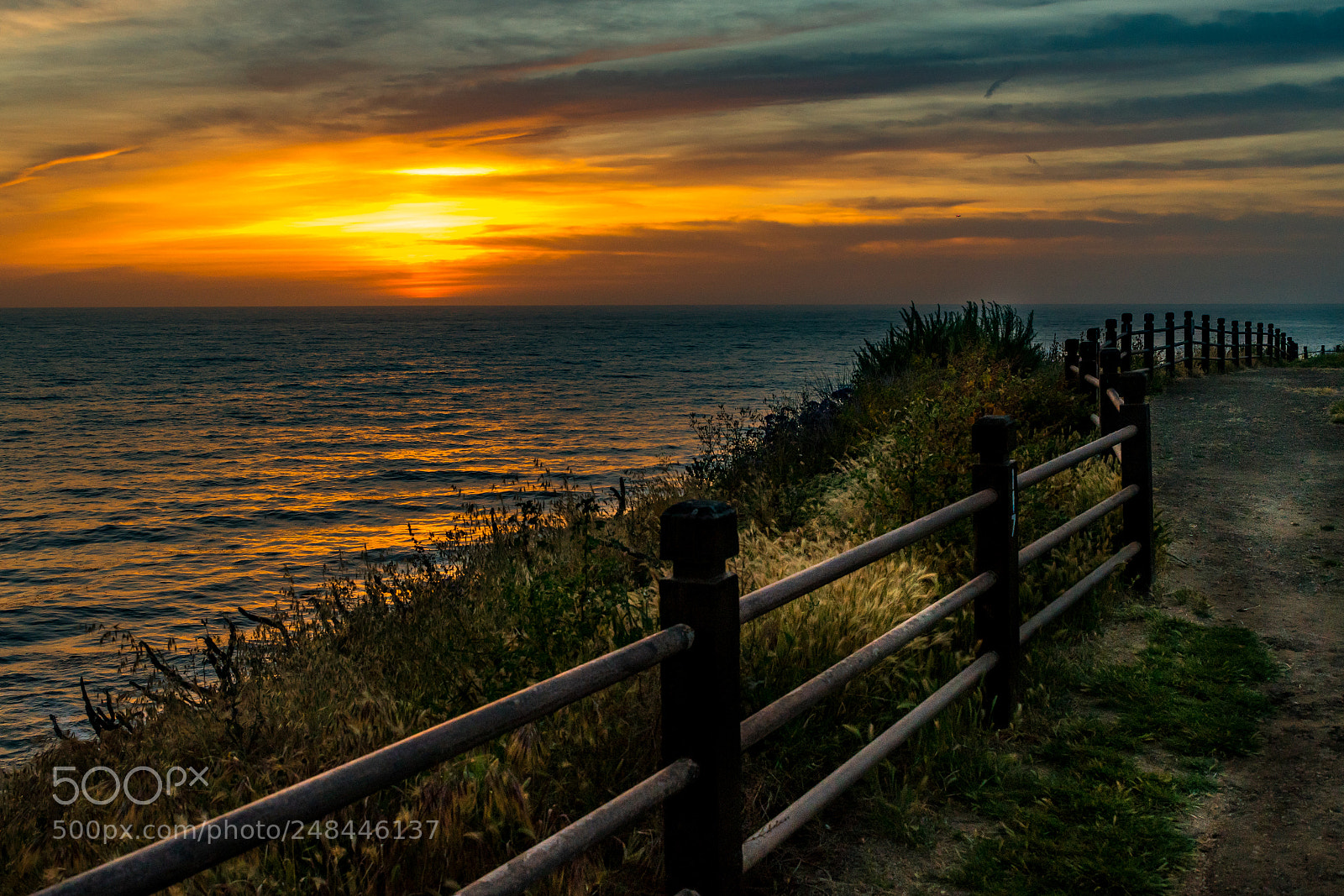Nikon D500 sample photo. Sunset california photography