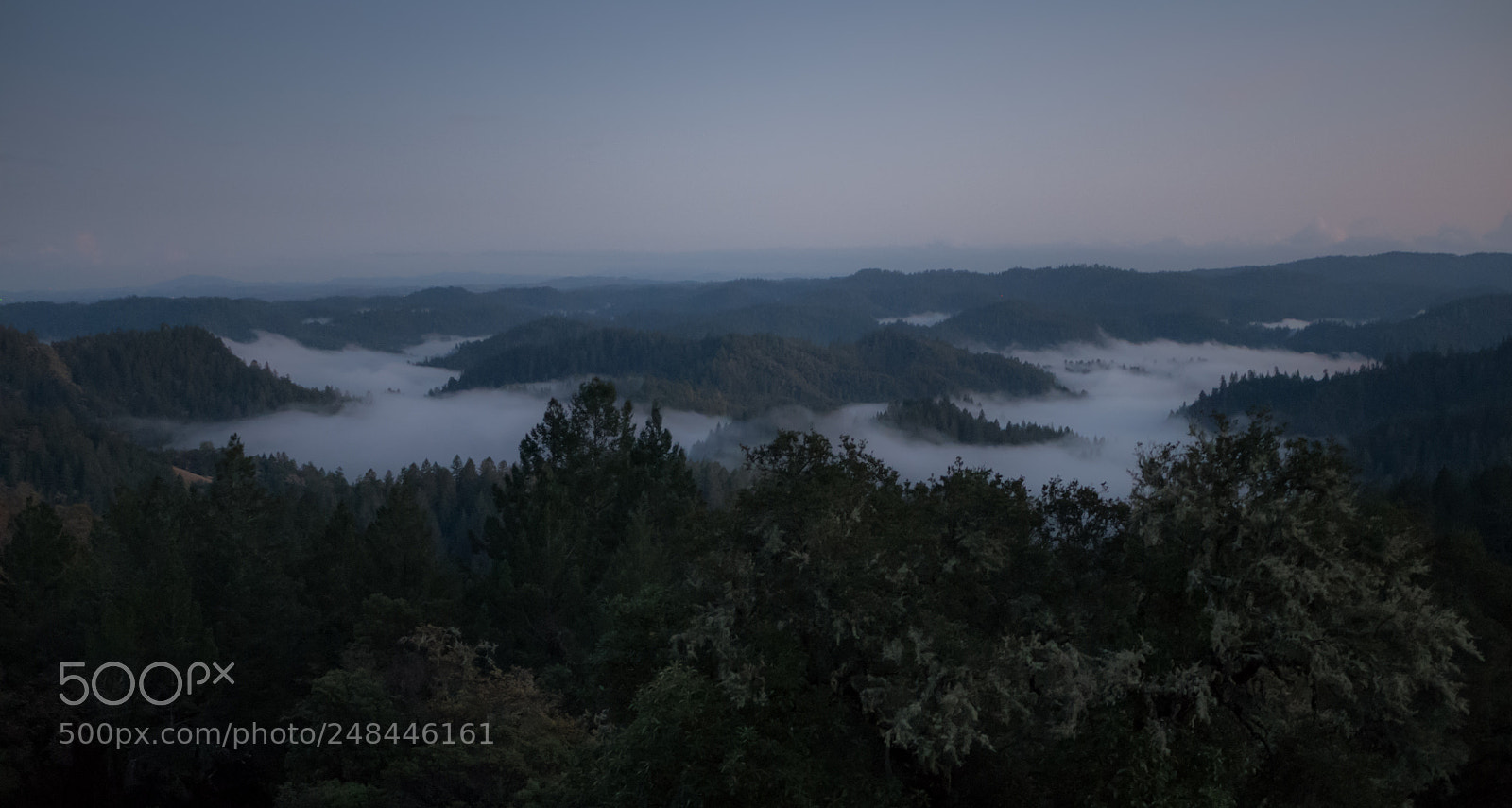 Panasonic Lumix DMC-G7 sample photo. Fog river photography