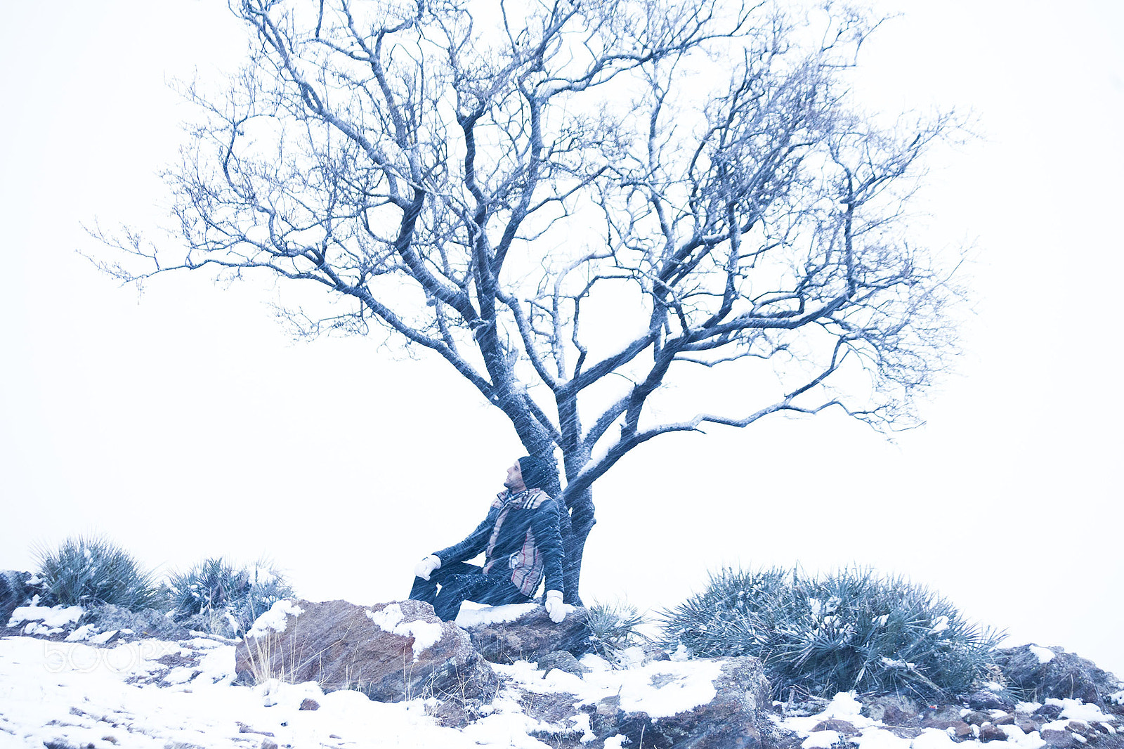 Canon EOS 5D sample photo. Snow under the tree photography