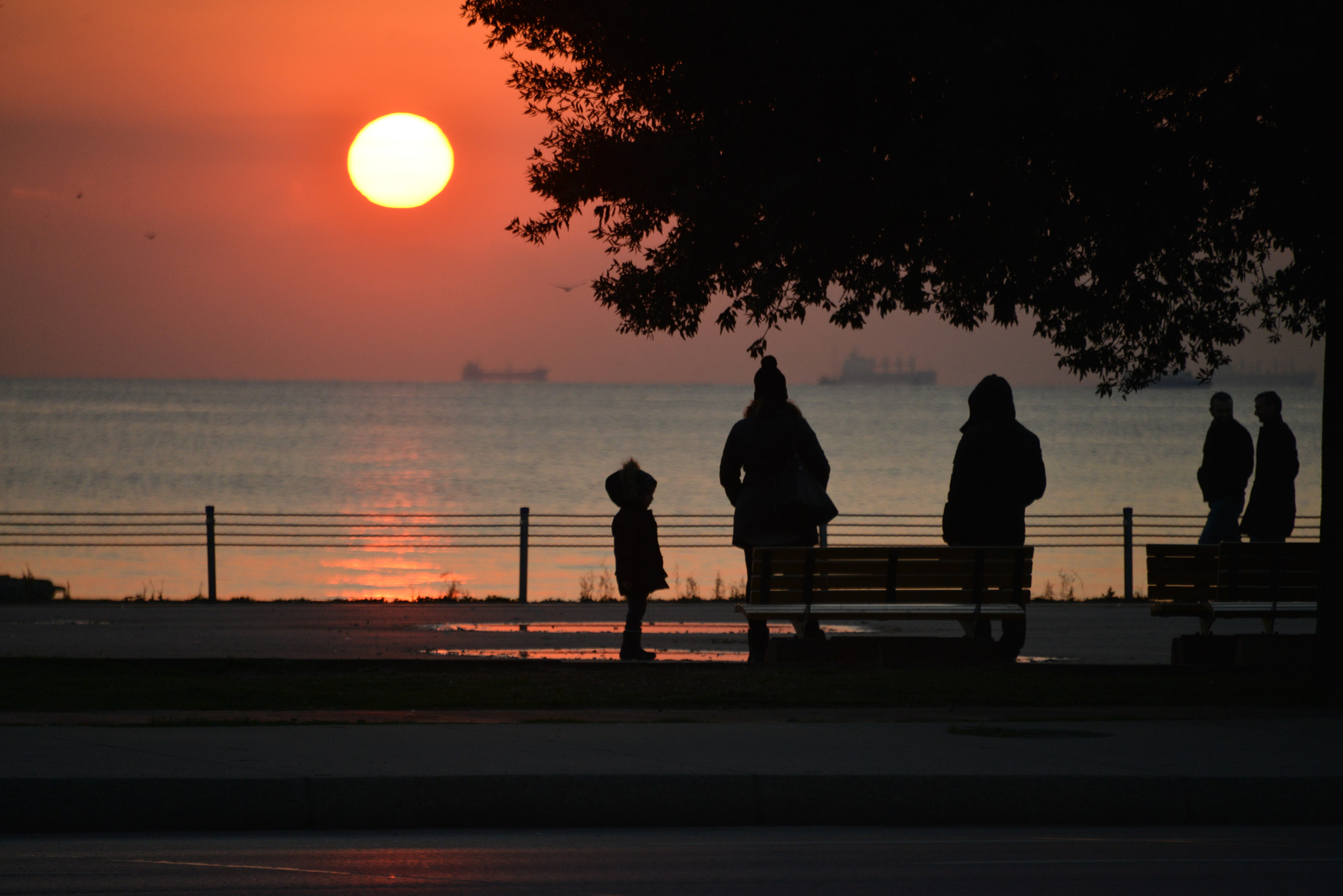 Nikon D800 sample photo. Suadiye ii photography