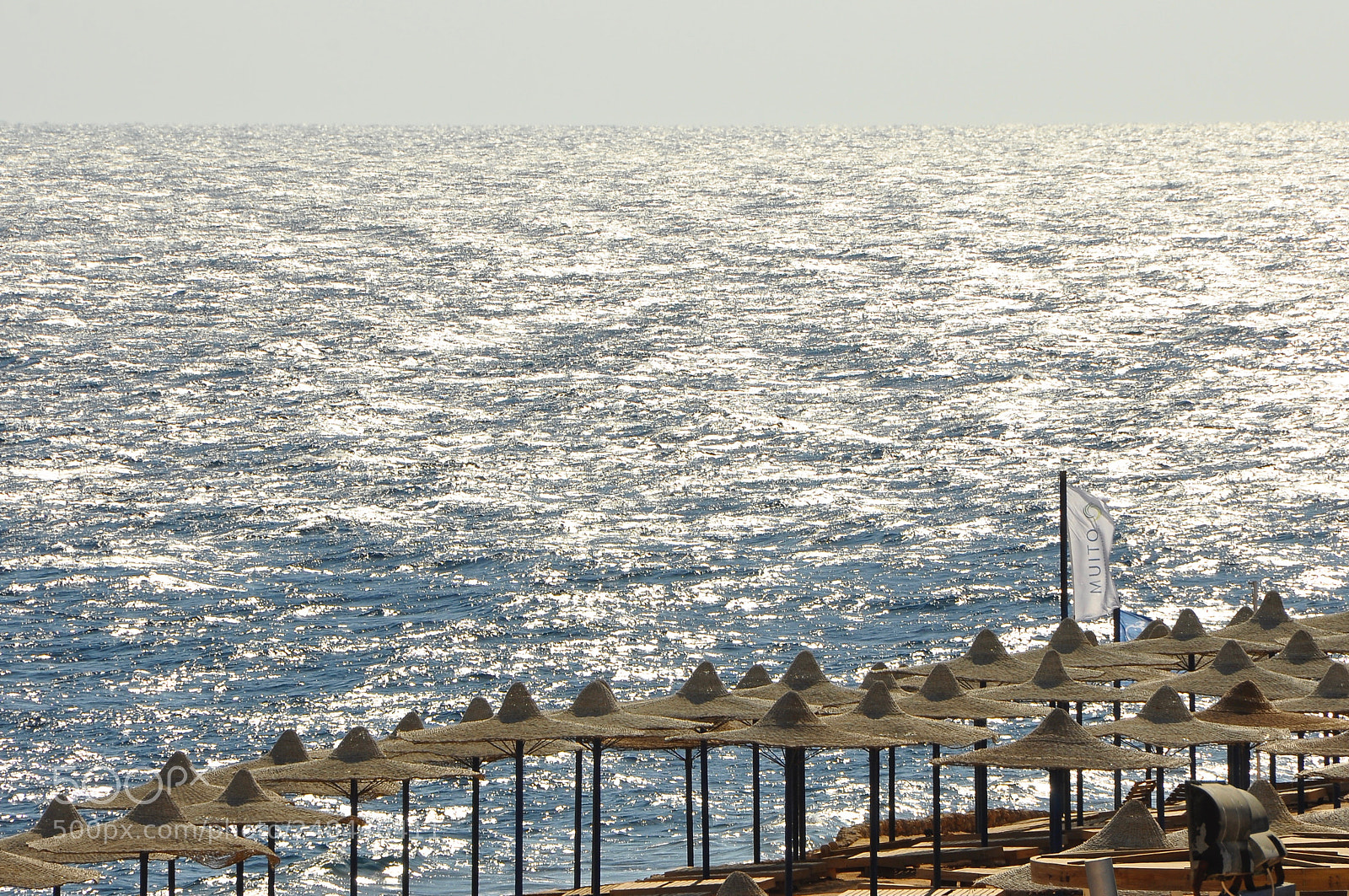 Nikon D90 sample photo. Egypt. photography