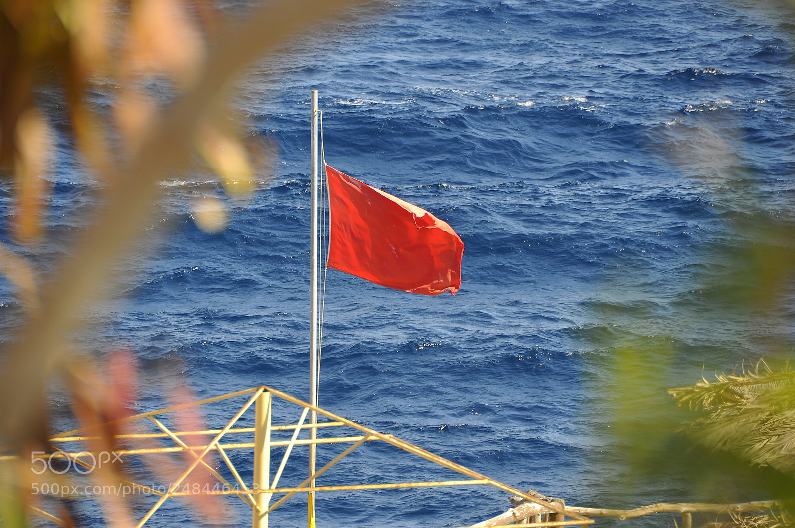 Nikon D90 sample photo. Egypt. photography