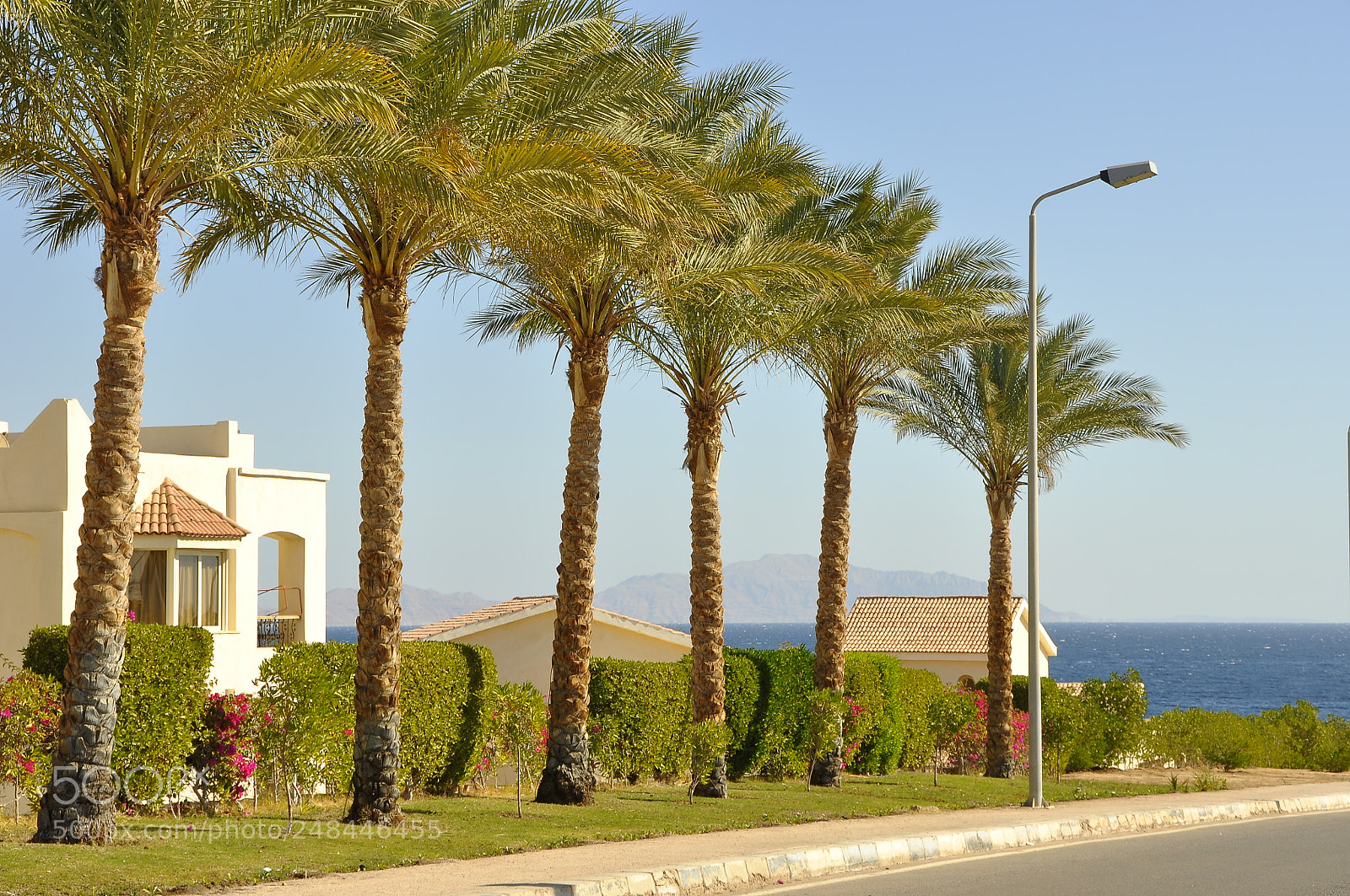 Nikon D90 sample photo. Egypt. photography