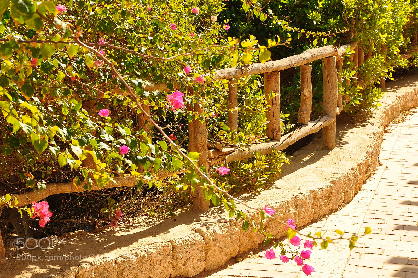 Nikon D90 sample photo. Egypt. photography