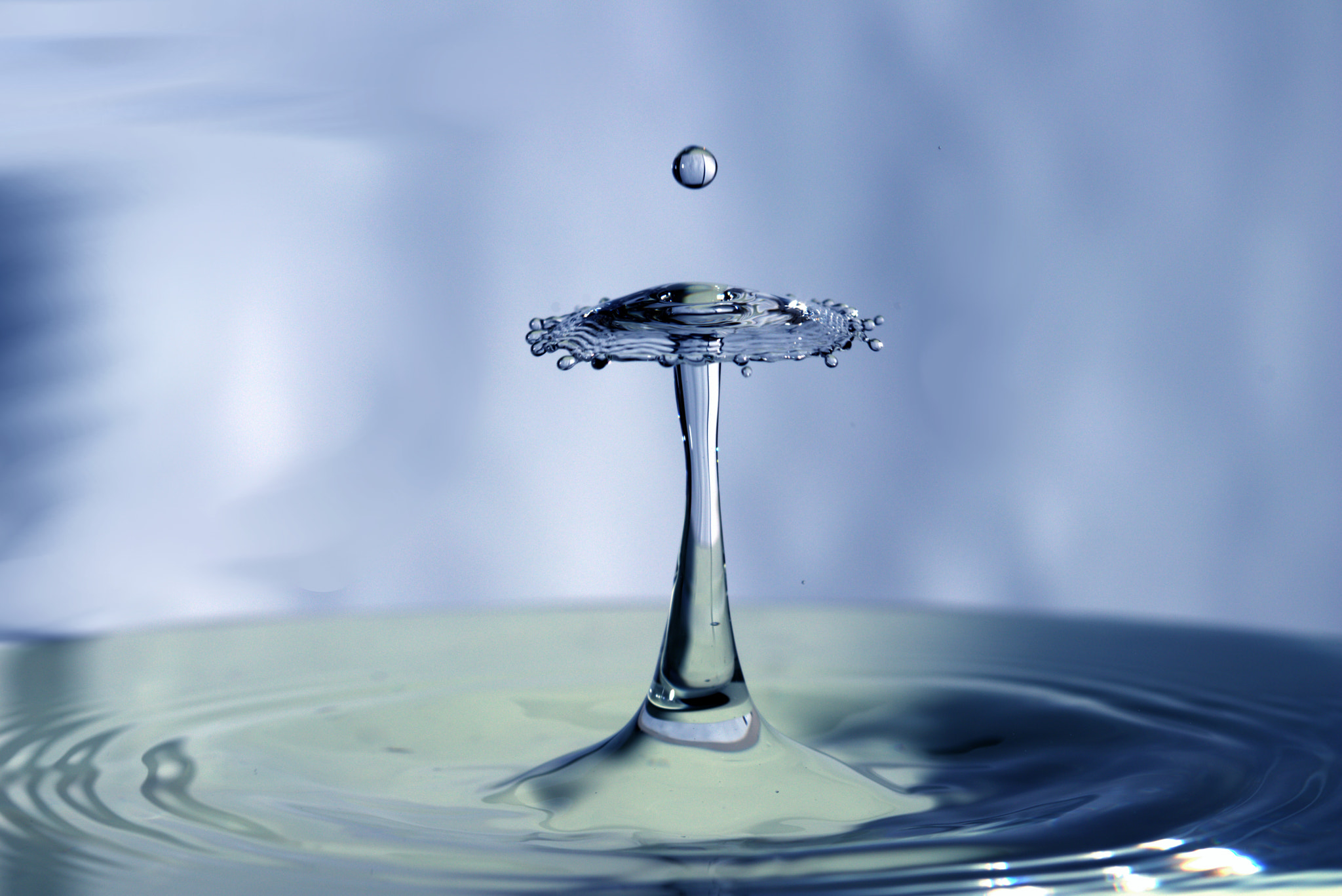 Canon EF 100mm F2.8 Macro USM sample photo. Water drops photography