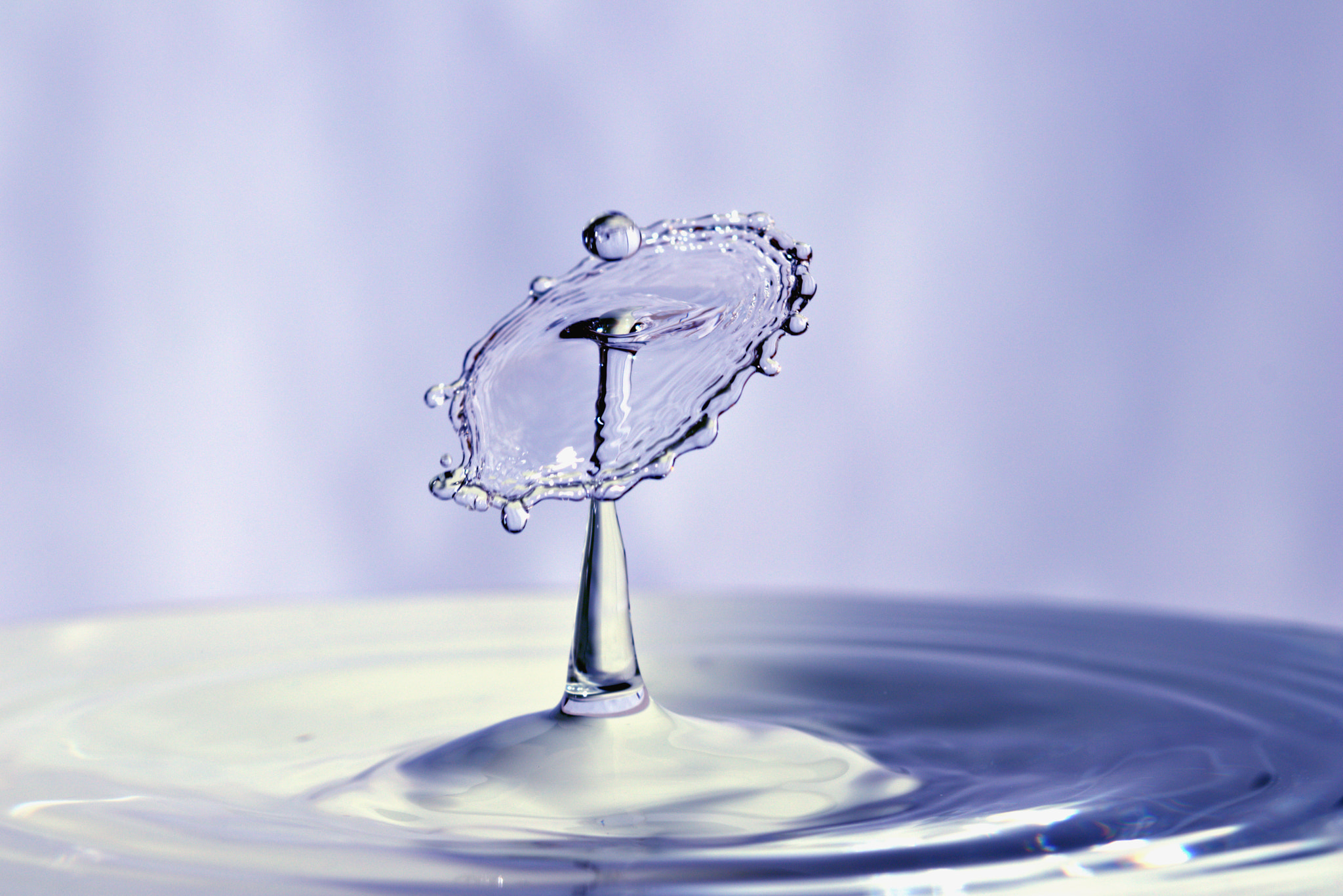 Canon EF 100mm F2.8 Macro USM sample photo. Water drops photography