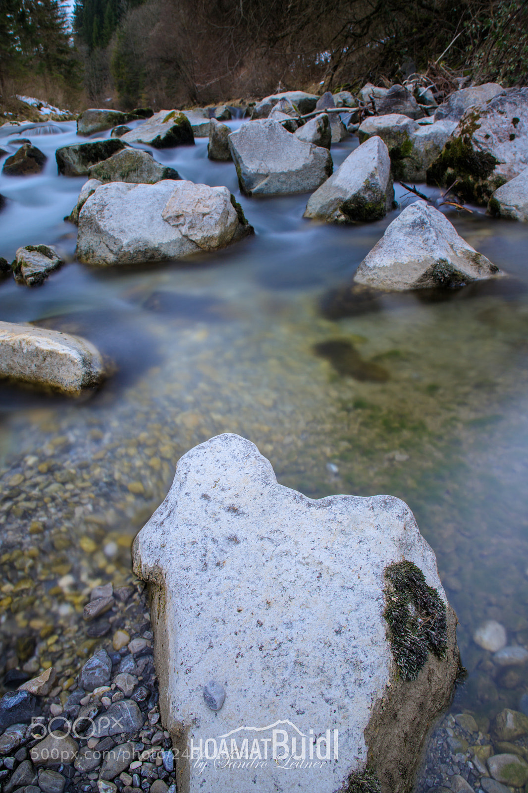 Canon EOS 6D Mark II sample photo. Spring is comming photography