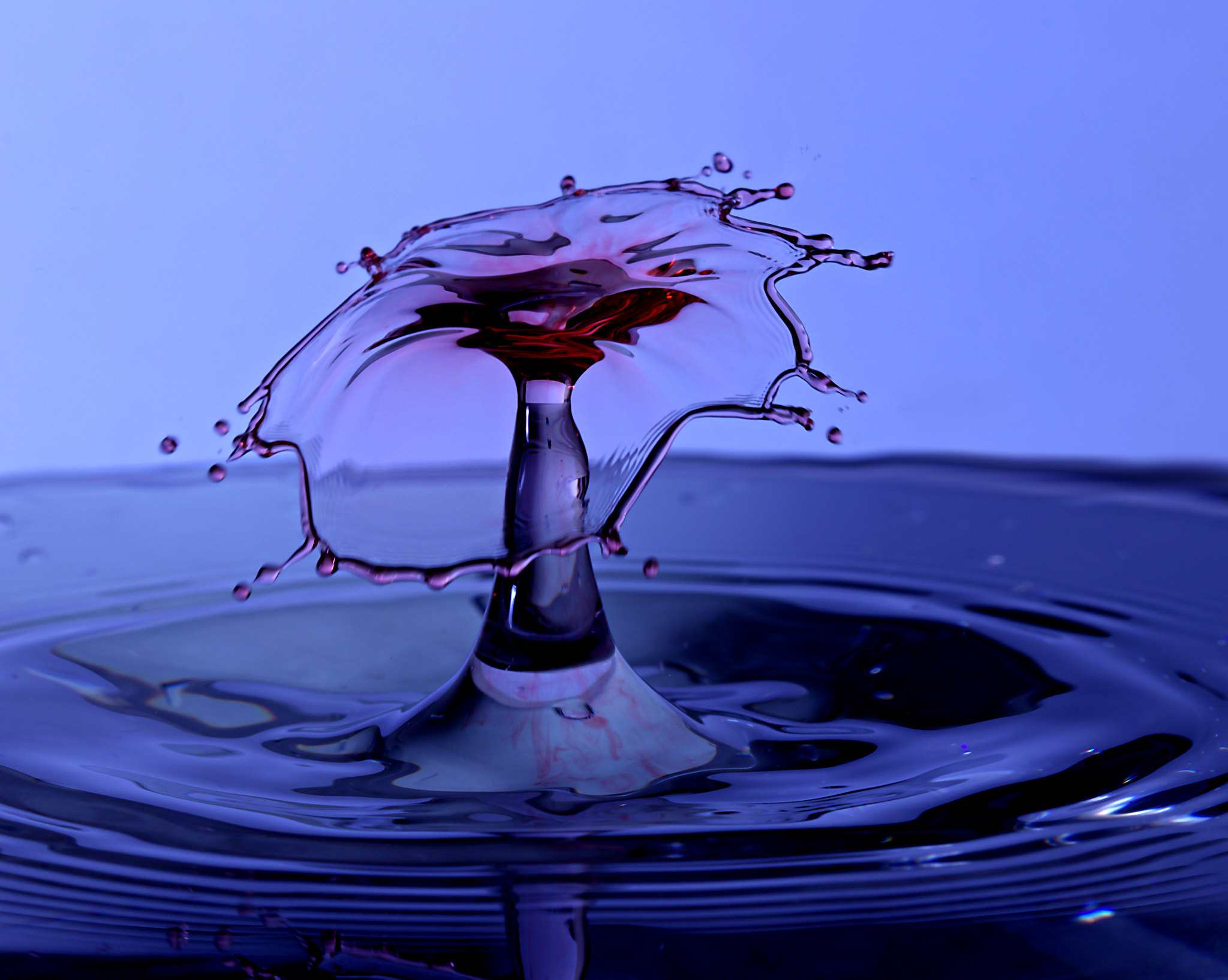 Canon EF 100mm F2.8 Macro USM sample photo. Water drops photography