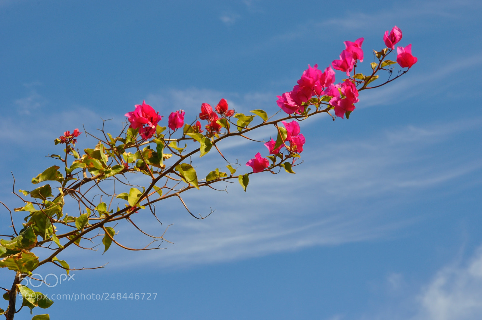 Nikon D90 sample photo. Egypt. photography