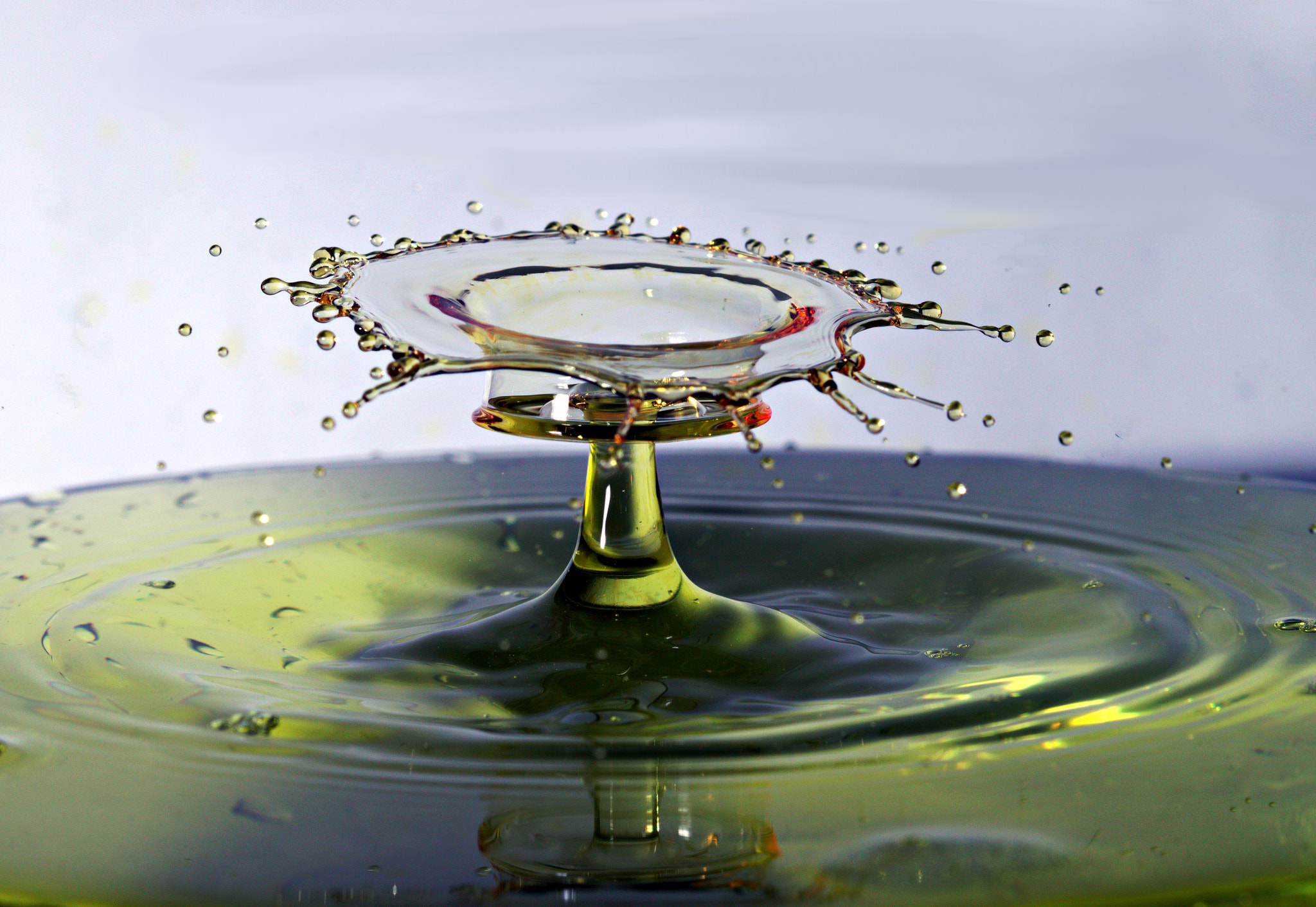 Canon EF 100mm F2.8 Macro USM sample photo. Water drops photography
