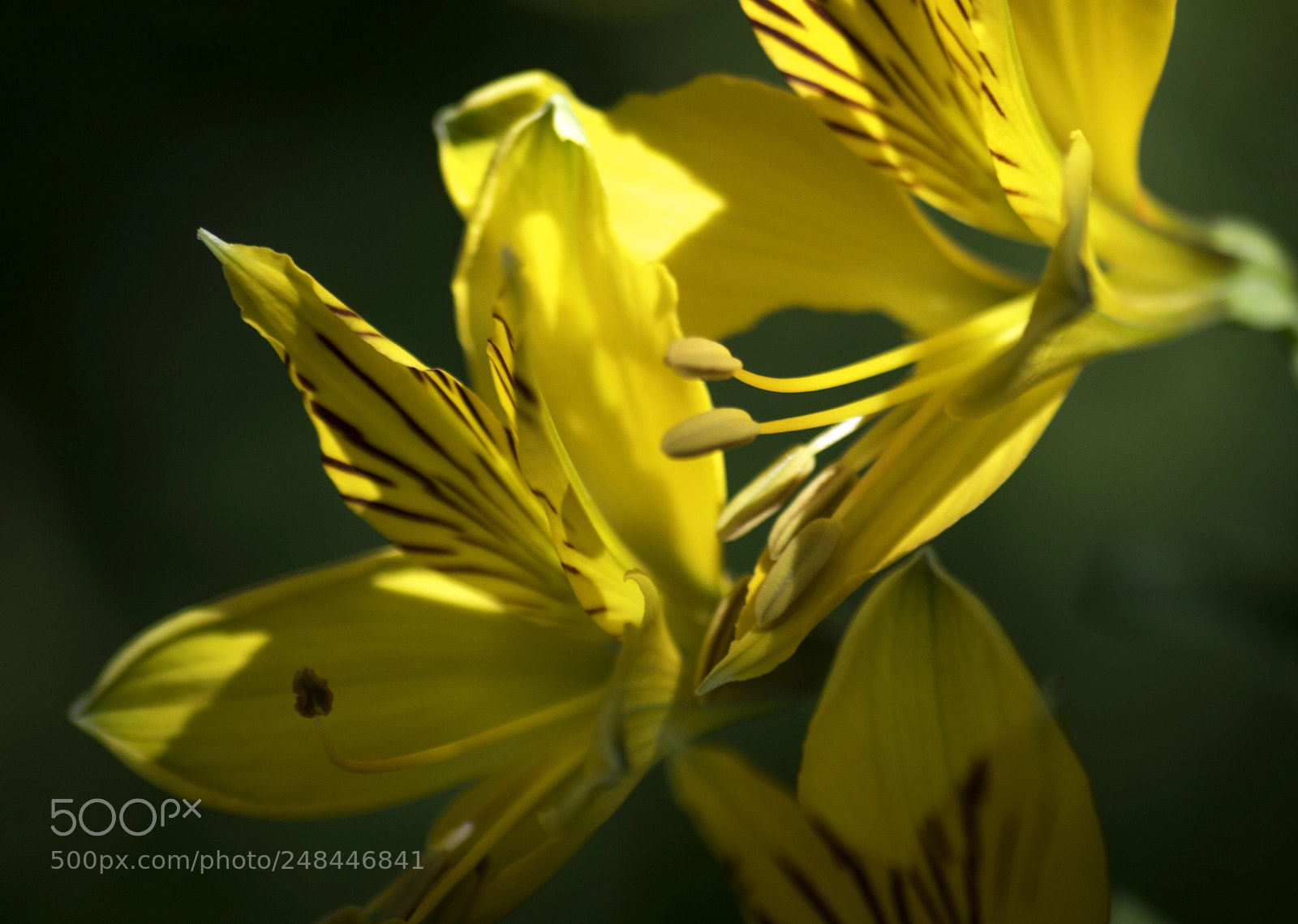 Nikon D3200 sample photo. Amazing colors photography