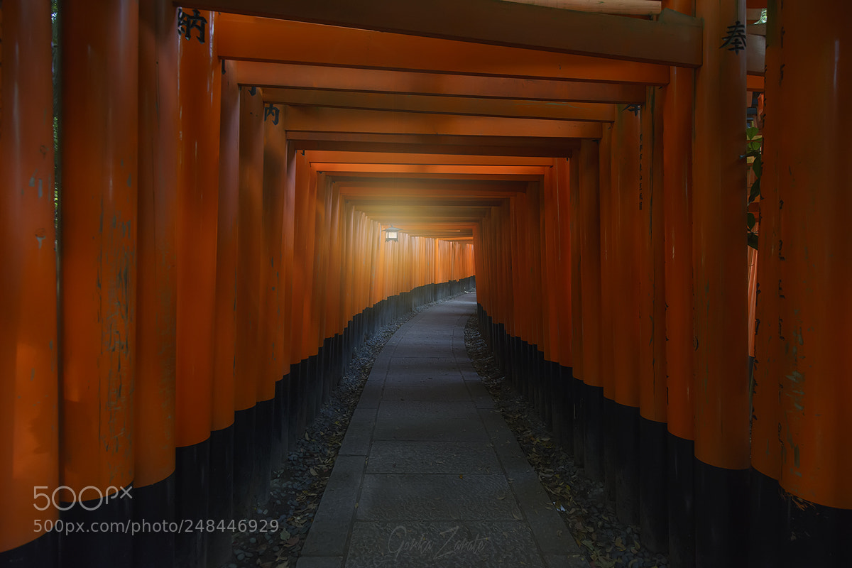 Nikon D7100 sample photo. Inari-taisha photography