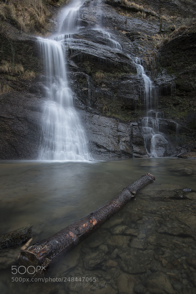 Nikon D810 sample photo. Uguna photography