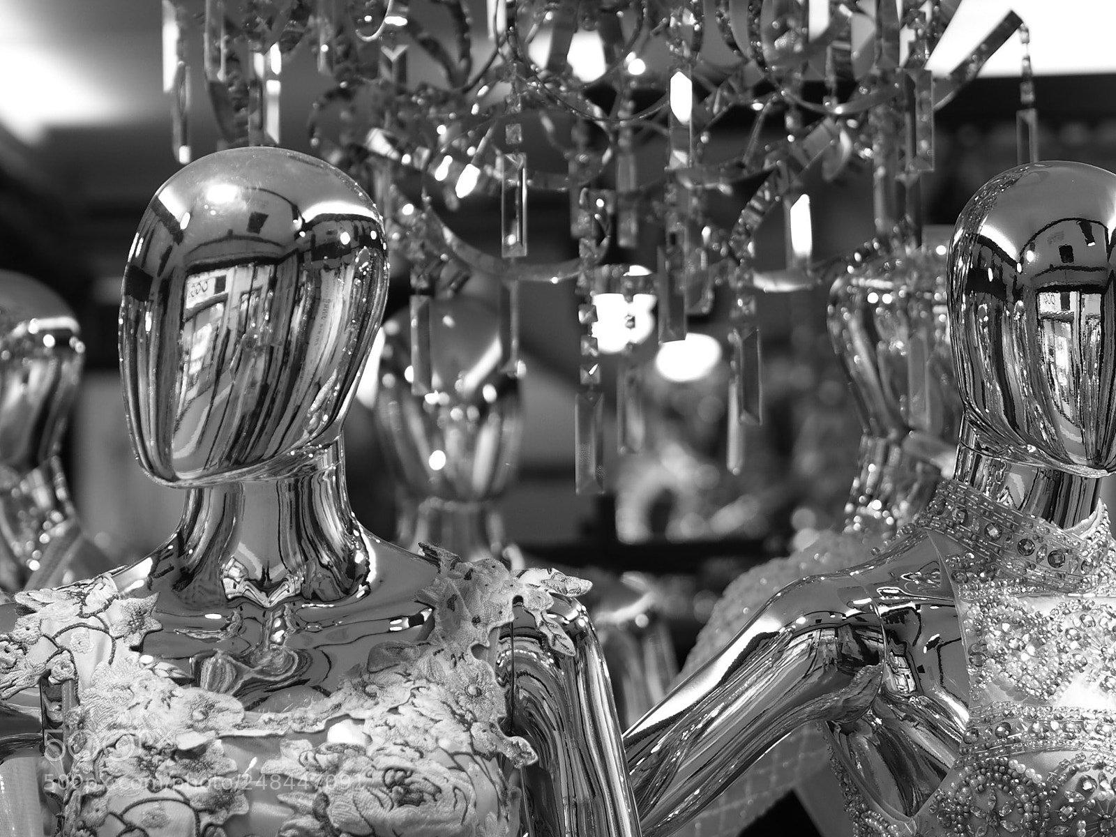 Olympus OM-D E-M5 II sample photo. Untitled photography