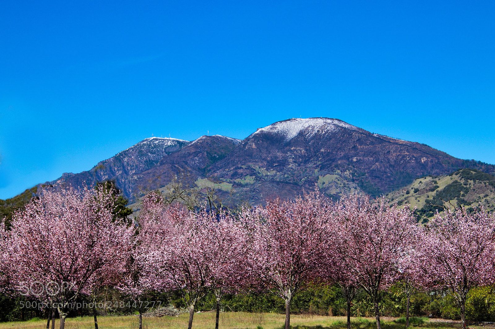 Canon EOS 77D (EOS 9000D / EOS 770D) sample photo. Winter/spring photography