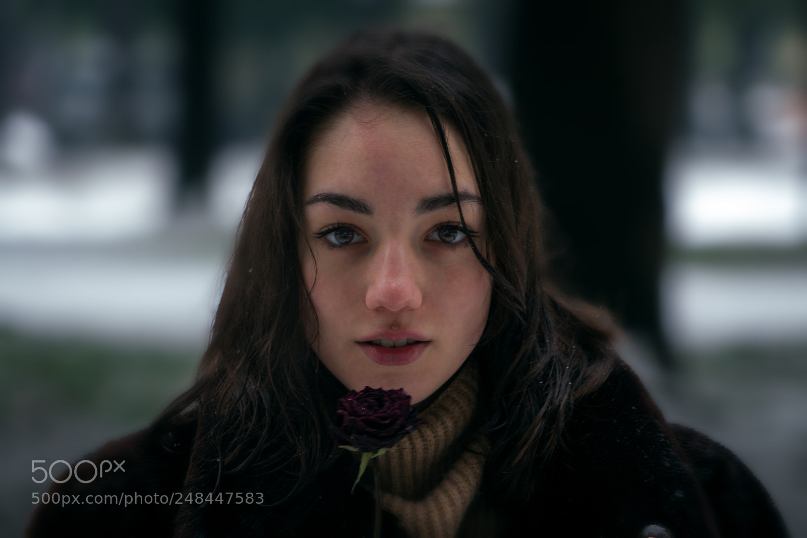 Sony a7R II sample photo. Contrast between beauty and photography