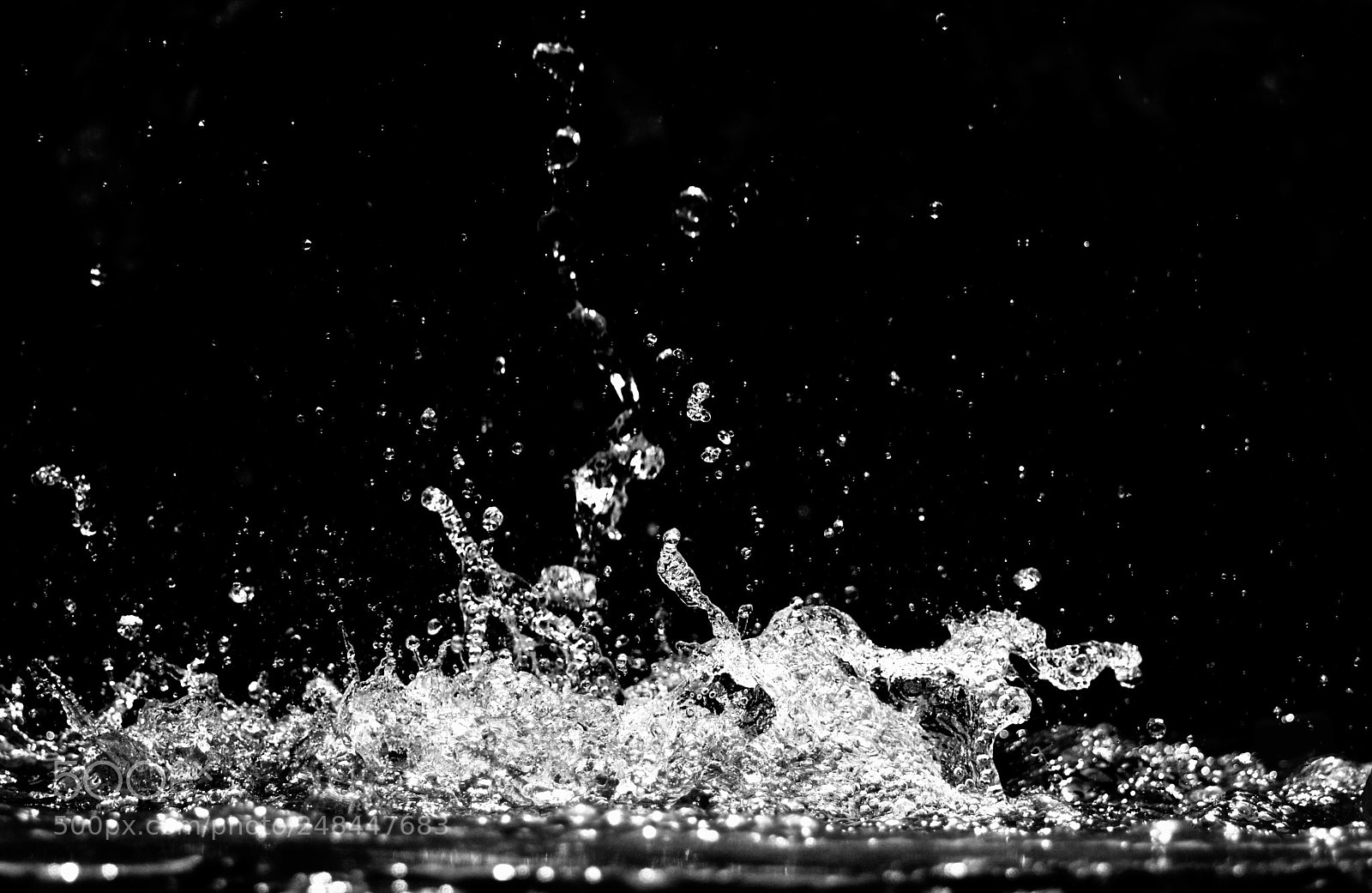 Nikon D7100 sample photo. Untitled photography