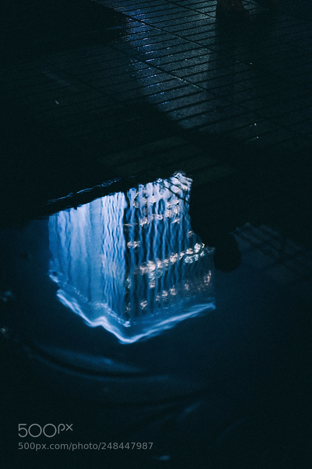 Sony a7 II sample photo. Night walks alone photography
