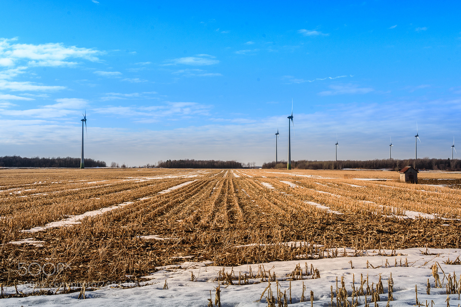 Nikon D7200 sample photo. Field photography
