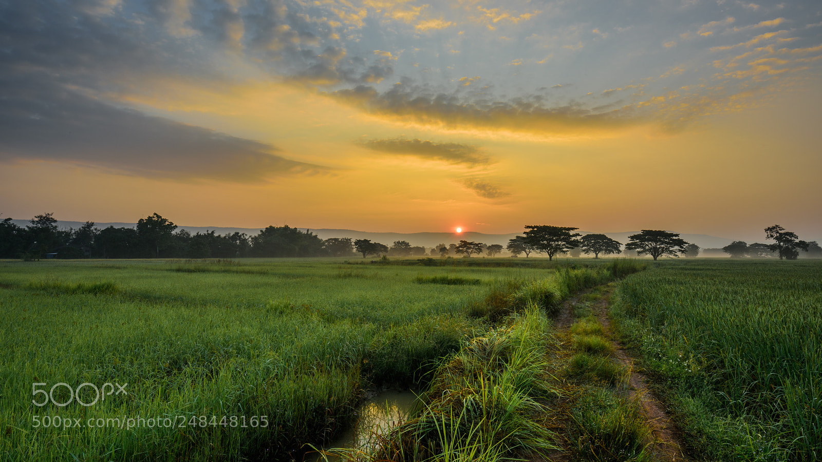 Nikon D810 sample photo. Hua ngom photography
