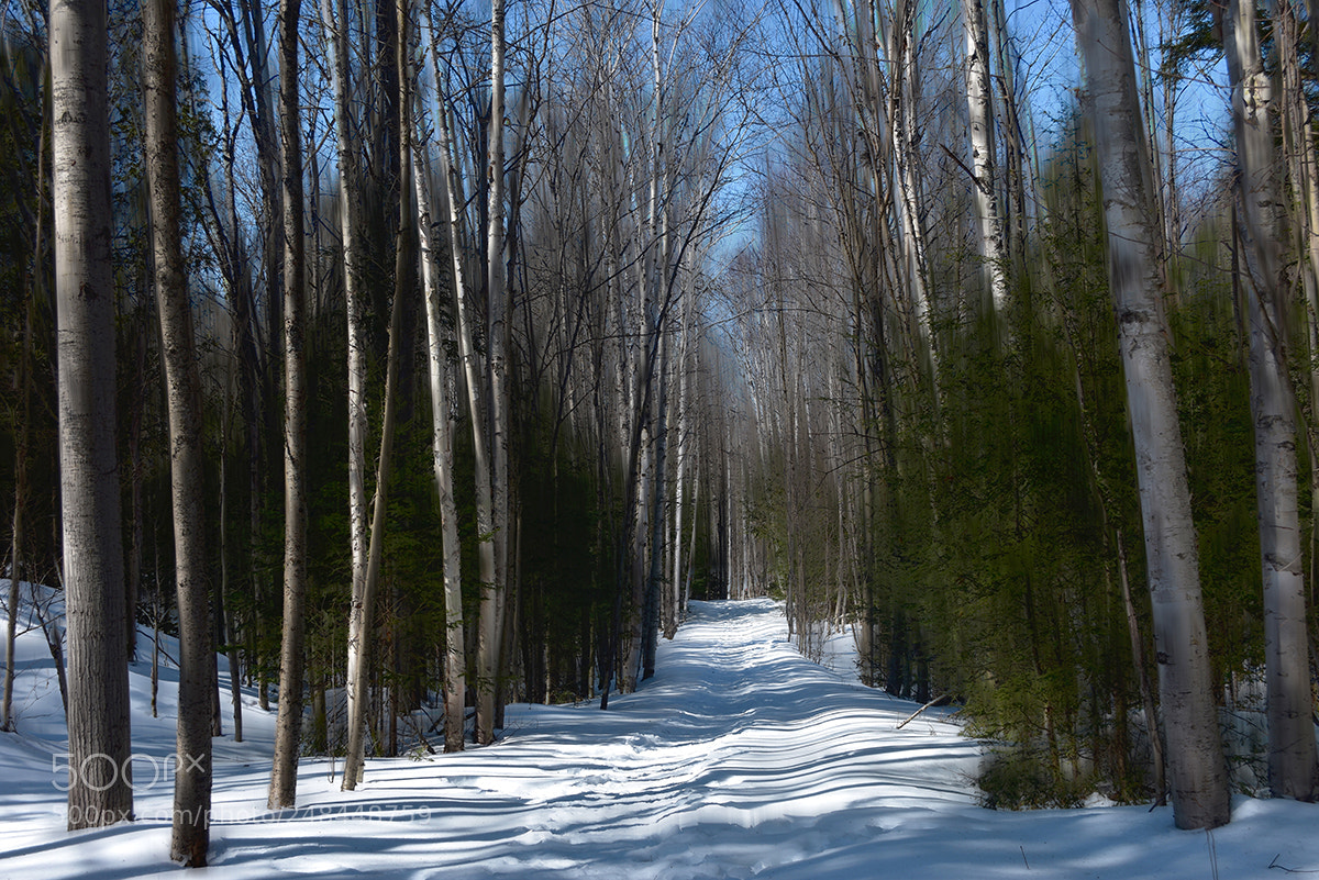 Nikon D3400 sample photo. Conna tre le chemin photography