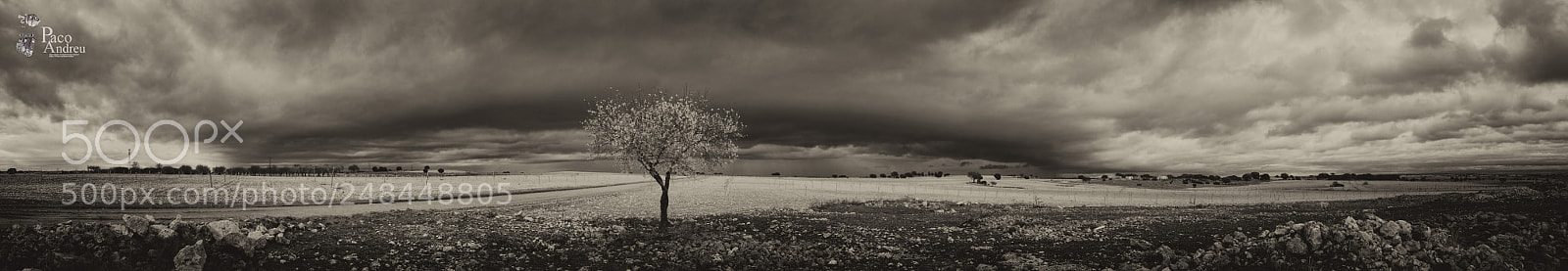 Nikon D3200 sample photo. El almendro photography