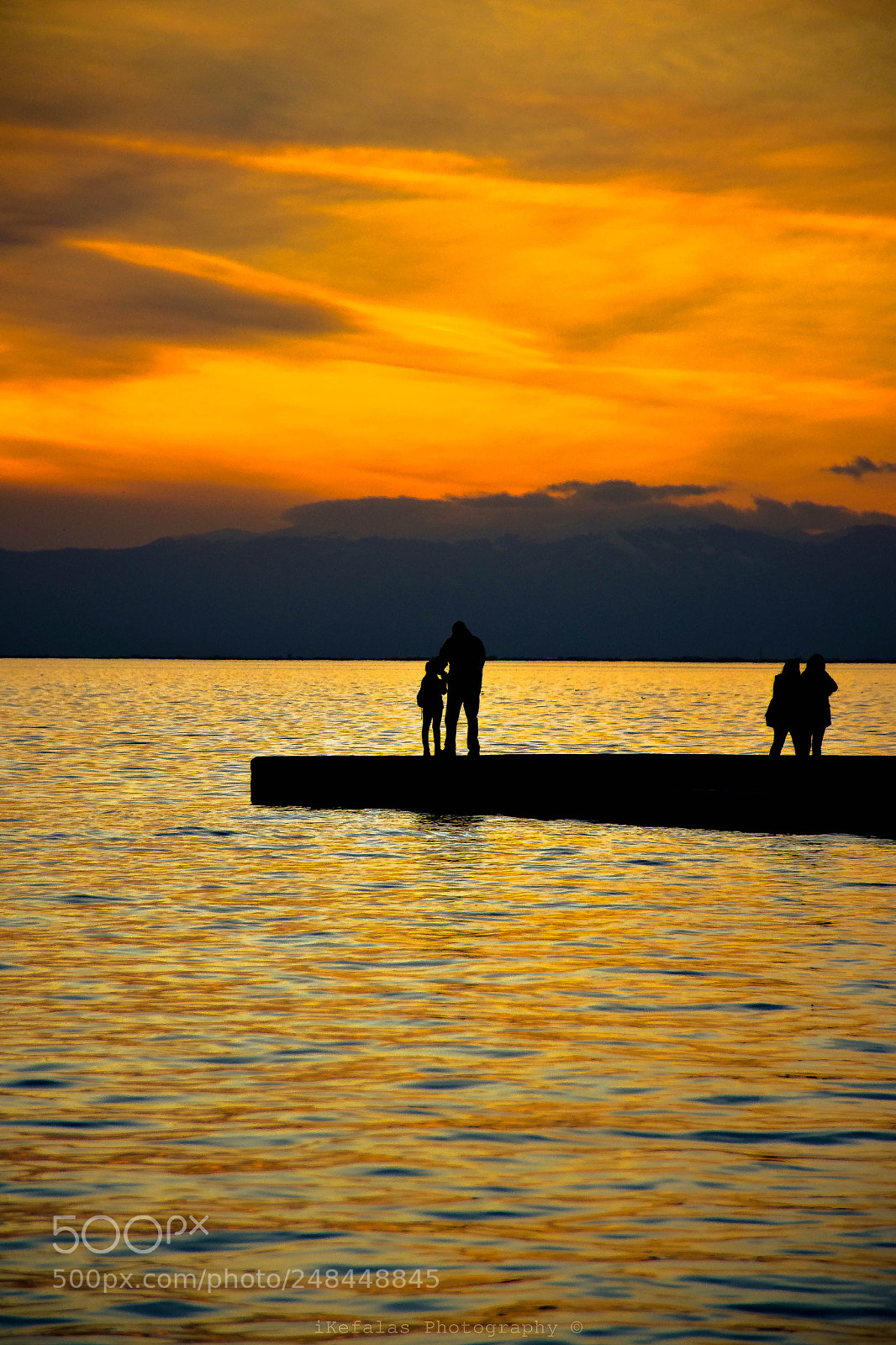 Nikon D5300 sample photo. Golden walking photography