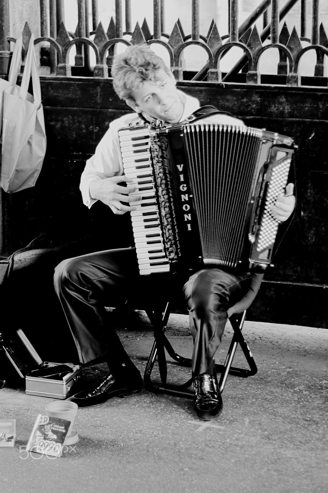Canon EOS 750D (EOS Rebel T6i / EOS Kiss X8i) sample photo. Accordionist photography