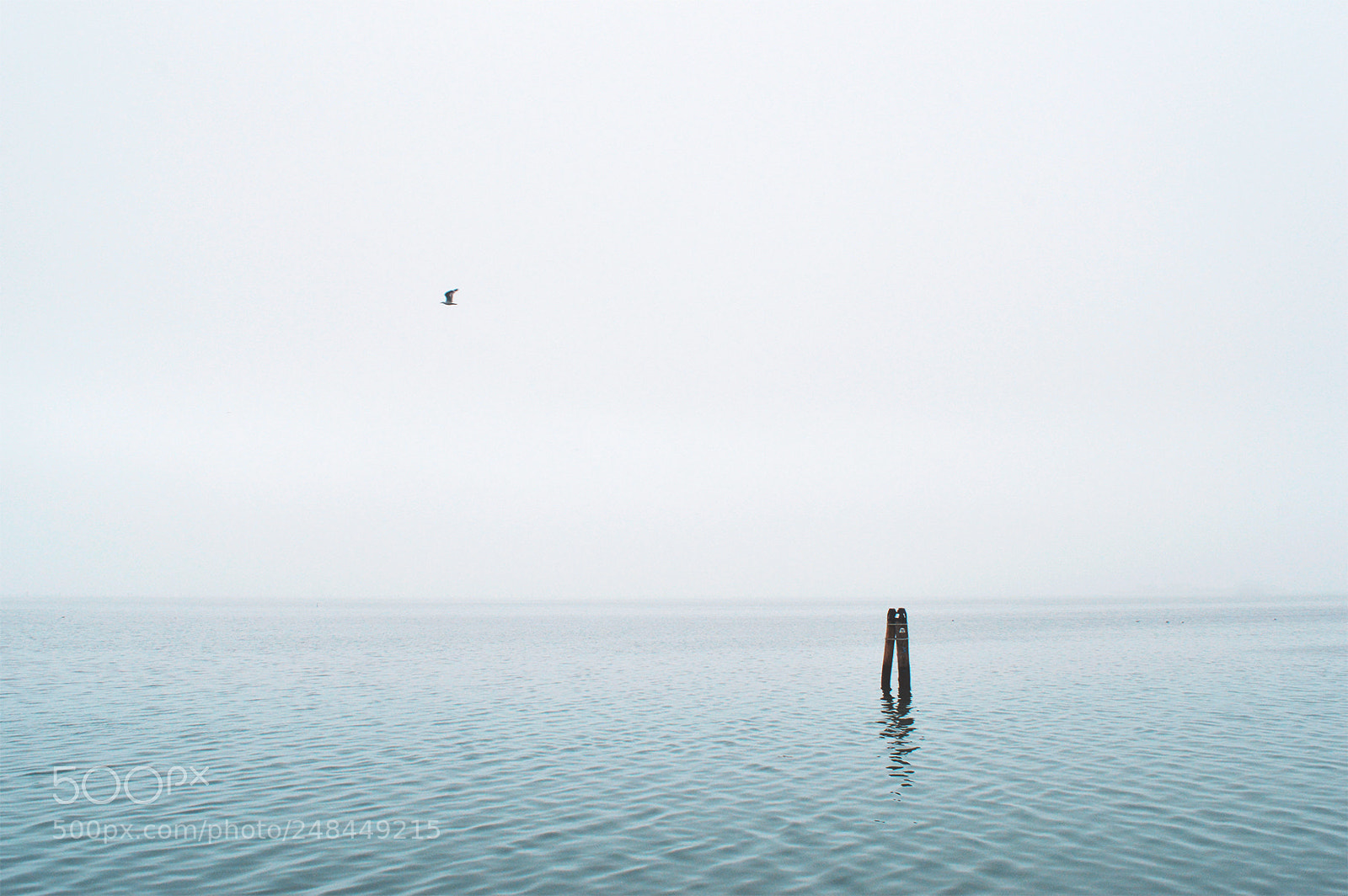 Nikon D3200 sample photo. Minimal paradise photography
