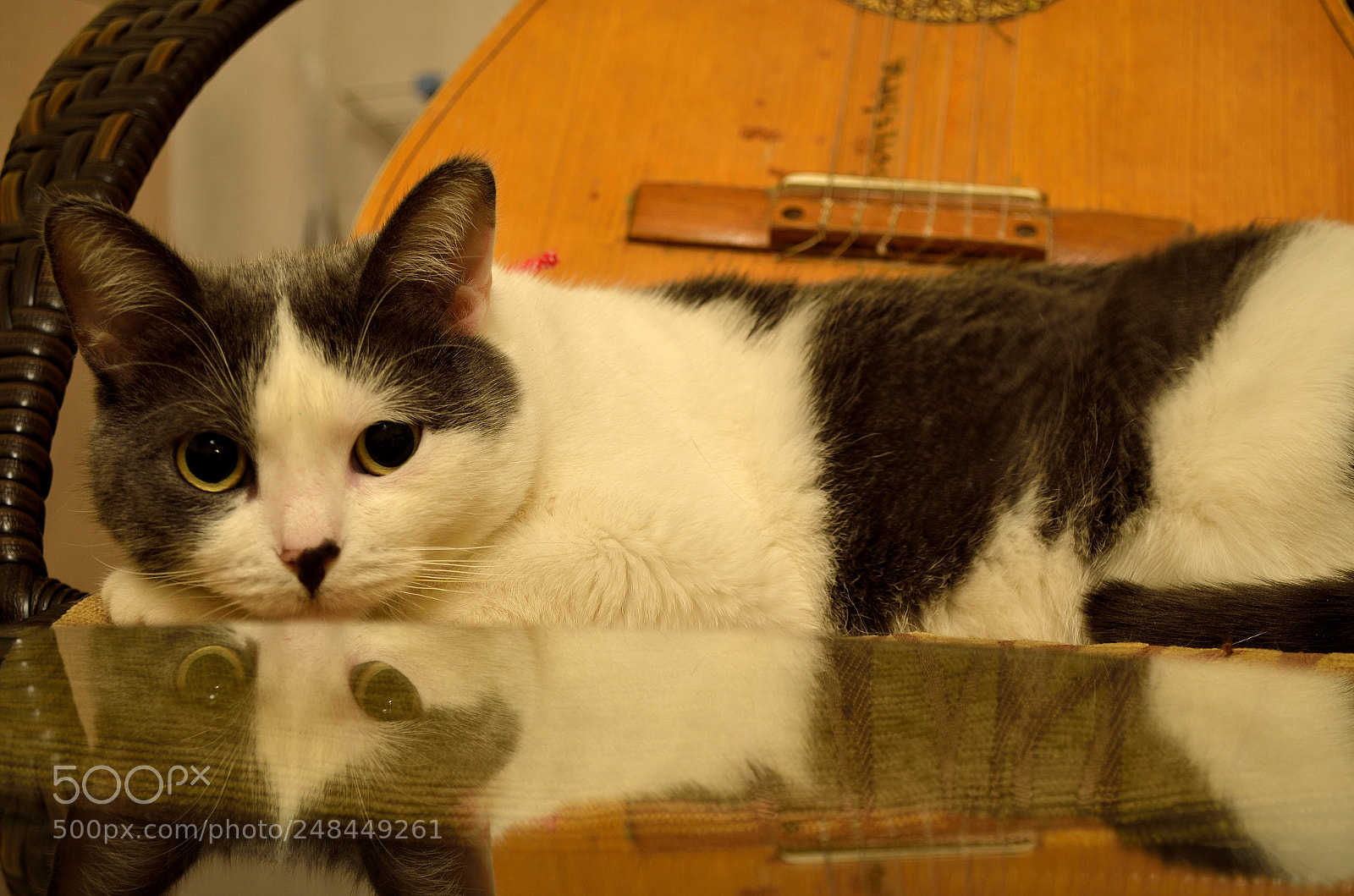 Nikon D5100 sample photo. I haven't been here photography