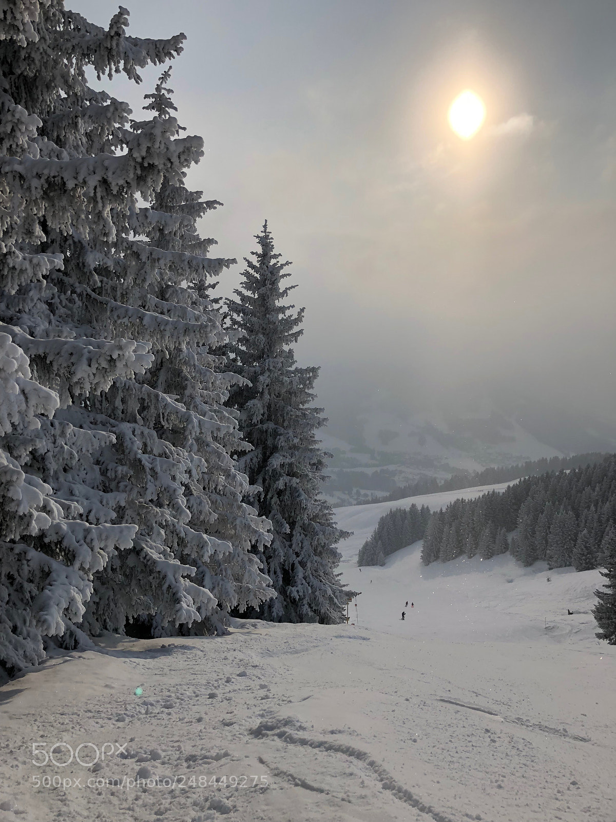 Apple iPhone X sample photo. Freezing days in meg photography