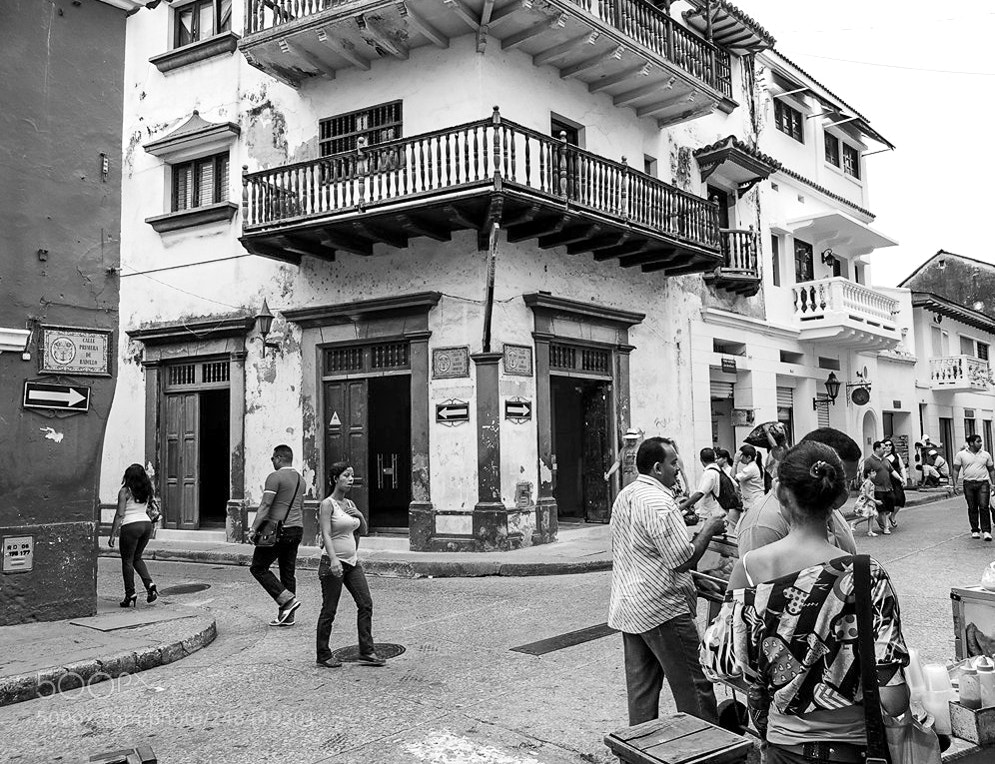 Nikon Coolpix P510 sample photo. Cartagenas photography