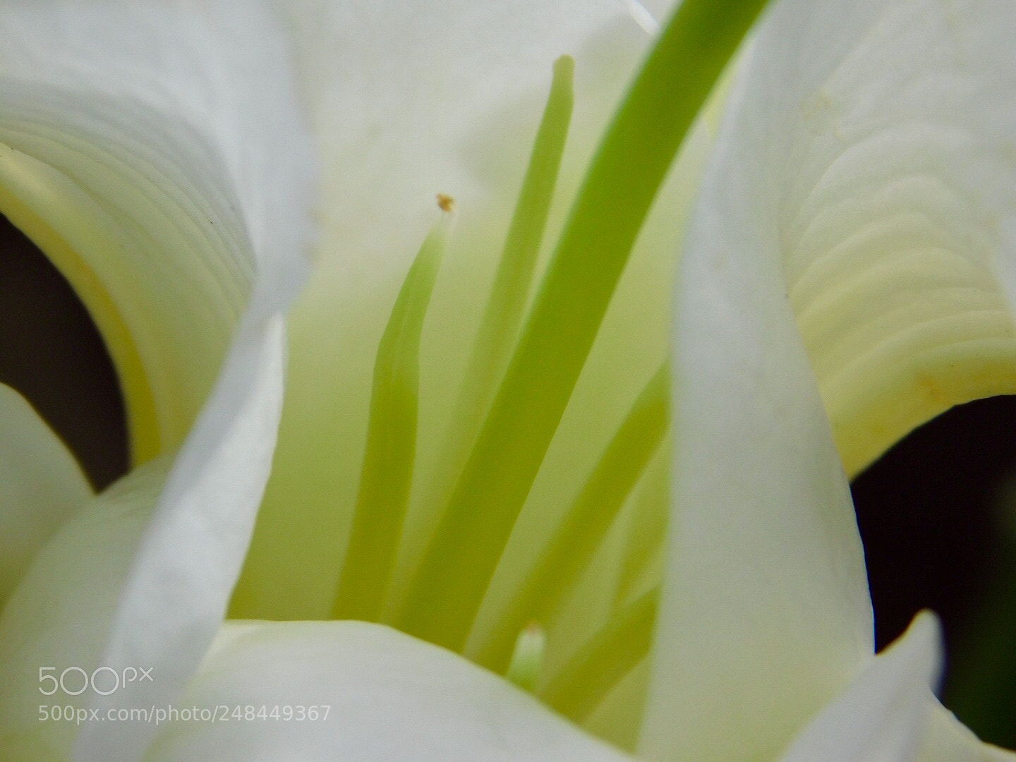 Nikon Coolpix B500 sample photo. Center photography