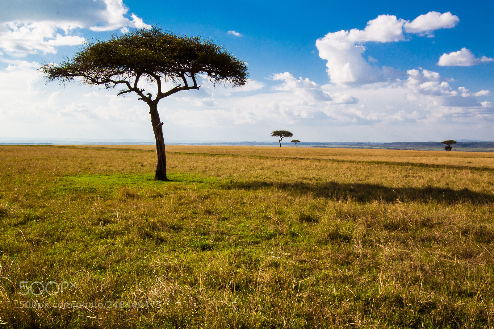 Canon EOS 500D (EOS Rebel T1i / EOS Kiss X3) sample photo. Kenyan countryside photography
